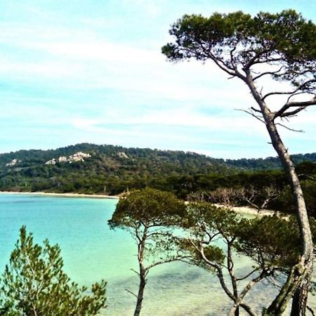 Ile De Porquerolles : T3 Climatise Vue Mer المظهر الخارجي الصورة