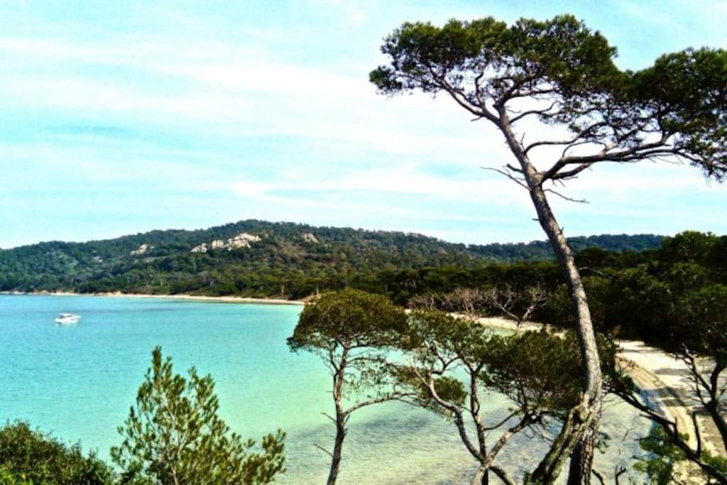 Ile De Porquerolles : T3 Climatise Vue Mer المظهر الخارجي الصورة